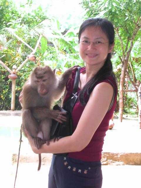 05-monkey-carry.jpg
